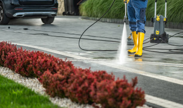 Best Solar Panel Cleaning  in Claysburg, PA